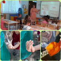 День насекомых День насекомых.